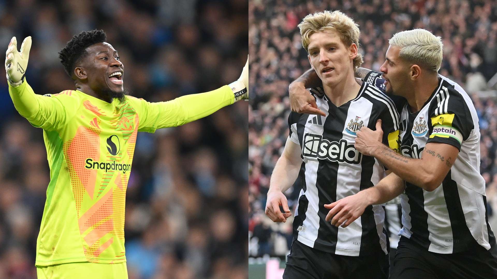 最终伊布与 最终伊布与