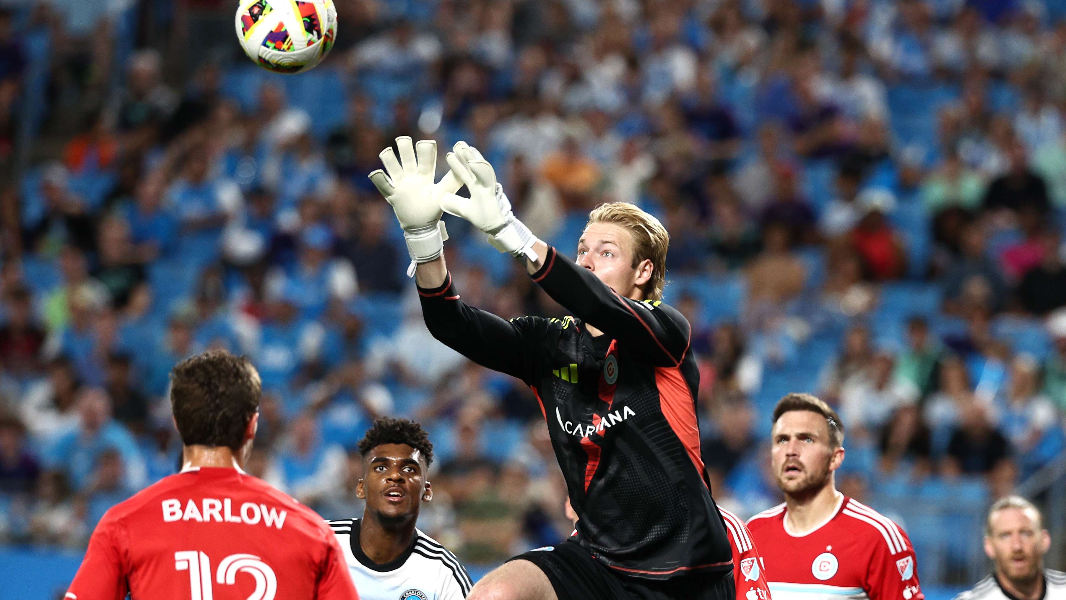 不仅提升了 不仅提升了