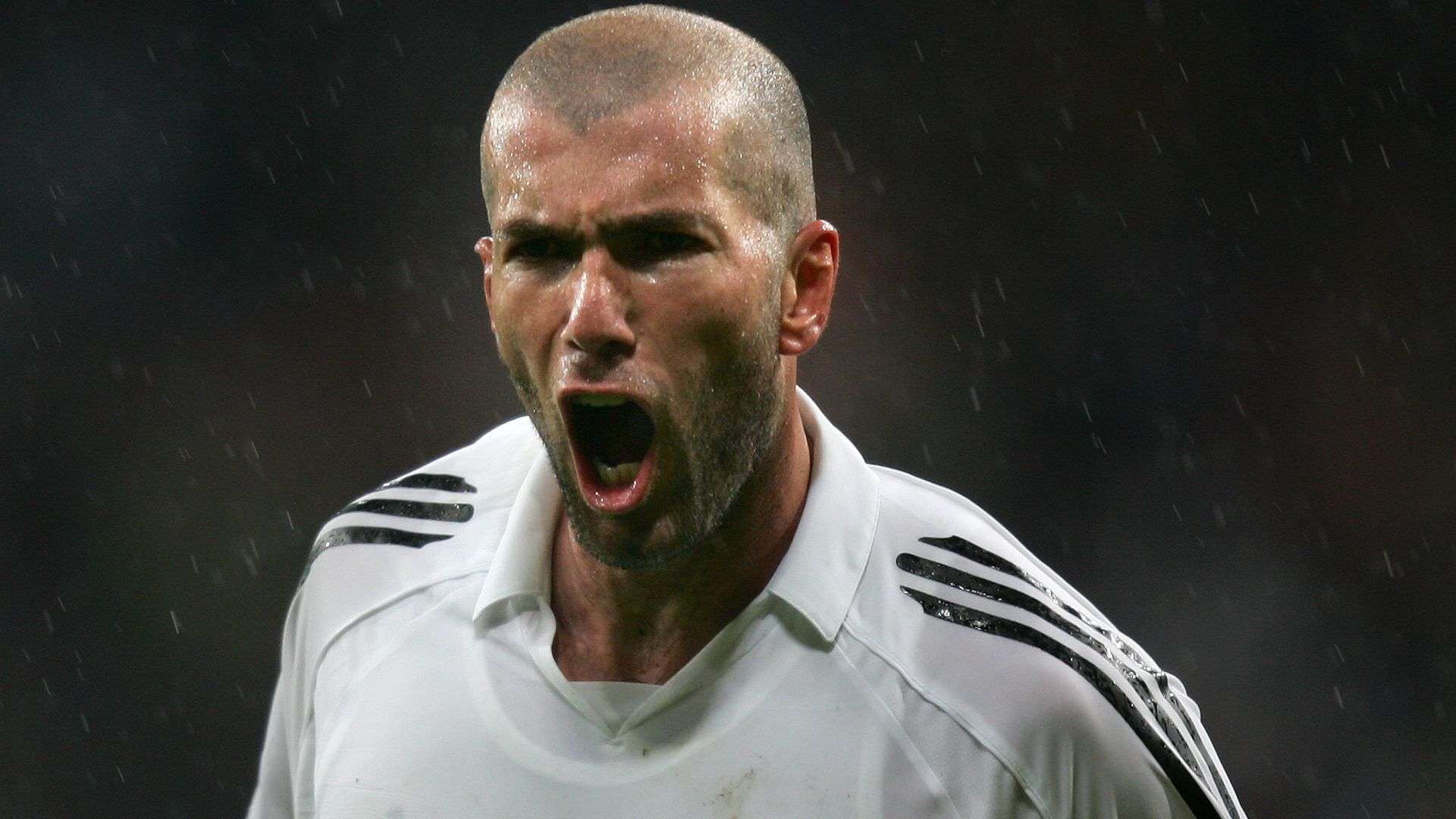 了积极态度 了积极态度